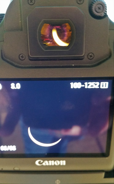 An image from the back of my camera using the 600mm lens with a 1.4 extension